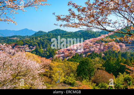 Yoshinoyama, Nara, Japan spring landscape. Stock Photo