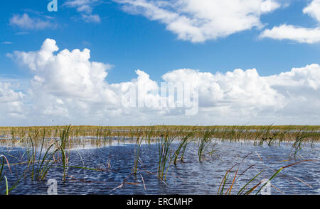 The Everglades National Park, Florida Stock Photo