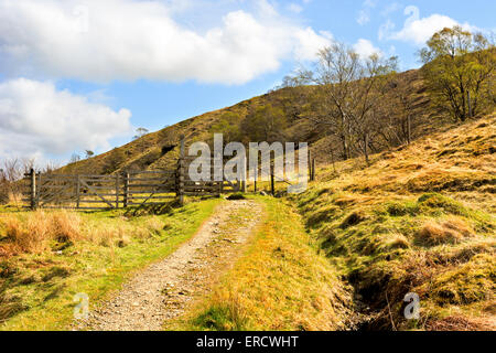 Landscape view over sheep gate and road in farmland. West Highland Way in Scotland Stock Photo