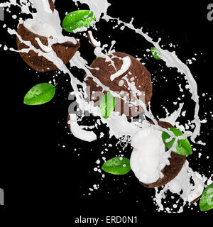 Coconuts with milk splash isolated on black Stock Photo