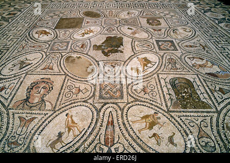 Morocco, Volubilis, House of the Labours of Hercules, roman mosaic Stock Photo