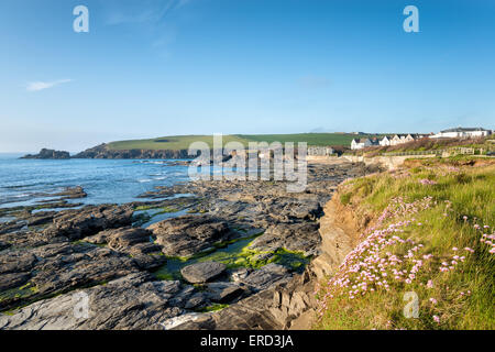 Low tide at Trevone Bay a rocky beach near Padstow in Cornwall Stock Photo