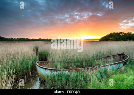 An old boat in reeds at Poole harbour on the Dorset coast Stock Photo