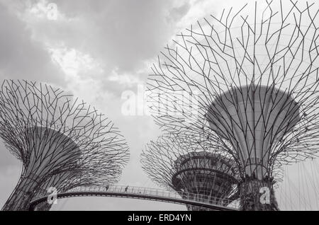 The OCBC Skyway, a 128-metre long walkway with a height of 22-metres connects two Supertrees at the Gardens by the Bay Stock Photo