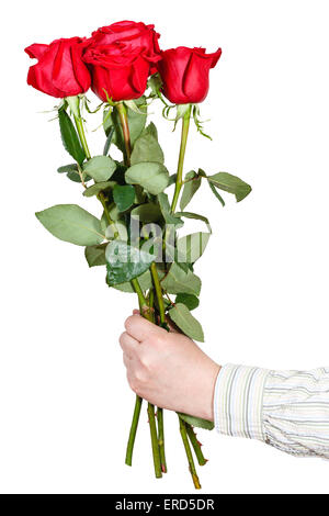 male hand giving bouquet of five red roses isolated on white background Stock Photo