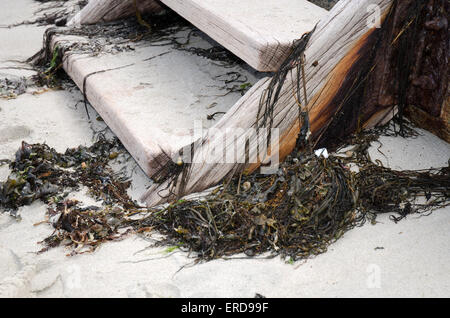 Wooden steps from a beach to the promenade Stock Photo