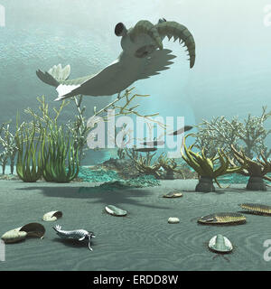 Animals and floral life from the Cambrian period about 500 million years ago from the Burgess Shale formation in Canada. Visible Stock Photo