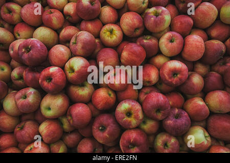 Pile of fresh apples Stock Photo