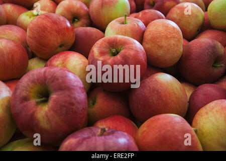 Pile of fresh apples Stock Photo