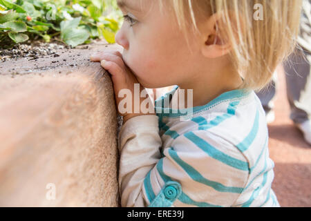 Close up of Hispanic boy playing in garden Stock Photo