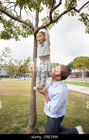 Hispanic father and son playing on tree in park Stock Photo