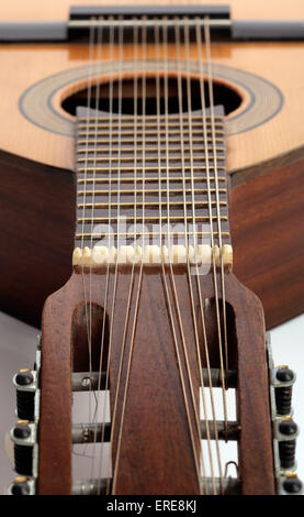 12 string spanish guitar