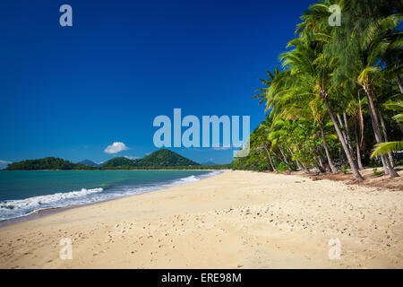 Palm trees on the beach of Palm Cove in Australia Stock Photo