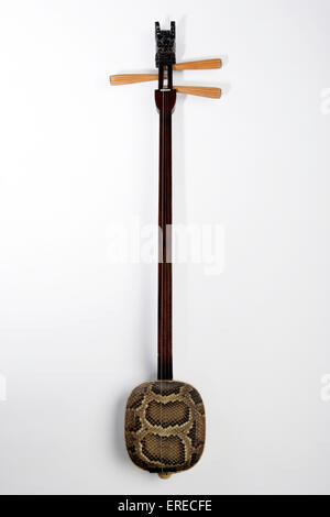 San Hsien or Sanxian, 3 stringed chinese lute. Python skin covered resonating or resonator box and Dragons-head scroll. Hsien Stock Photo