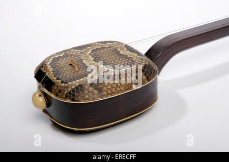 San Hsien or Sanxian, 3 stringed chinese lute. Detail of Python skin covered resonating or resonator box and bridge. Hsien Tse. Stock Photo