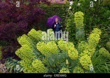 Elderly woman standing amongst her foliage in her garden, Hampshire, UK. Stock Photo