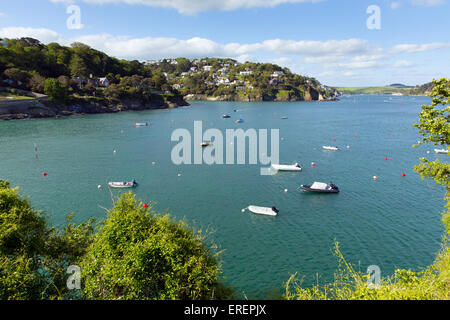 Salcombe Devon England UK view of the Kingsbridge Estuary with boats blue sea and sky popular for sailing and yachting Stock Photo