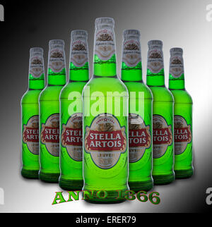 An unopened bottles of Stella Artois Stock Photo