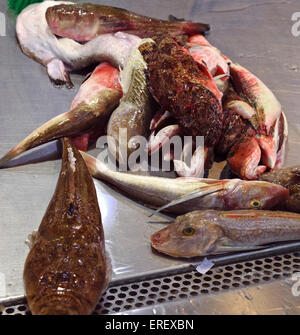 Mixed Fish Catch on a fish stall in the Central Market, Valencia Stock Photo