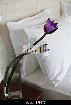 Lotus flowers in a glass vase next to the bed in the Grand Deluxe Villa at Saman Villas, Aturuwella, Bentota, Sri Lanka.