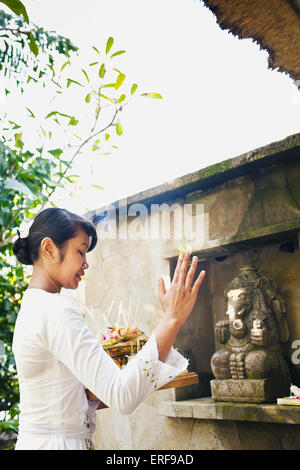 Balinese woman making morning offering to the Hindu God Ganesh outside Room #14  at Ubud Hanging Gardens, Bali, Indonesia. Stock Photo