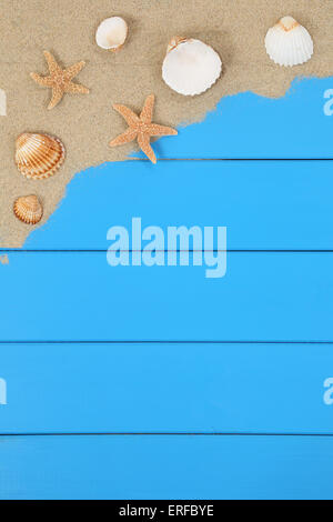 Sea shells and stars on the sand beach in summer on vacation with copyspace Stock Photo