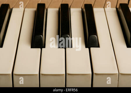 Piano keyboard  - showing white naturals and black accidentals