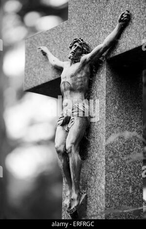 Jesus Christ Wearing A Crown Of Thorns And White Chiton Toga Mantle 