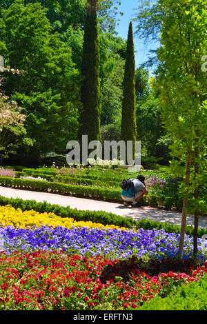 Royal botanical garden (Real Jardín Botánico) and man photographing plants, Madrid, Spain Stock Photo