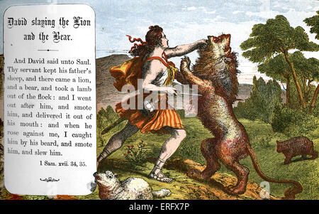 David slaying the lion and the bear. 1 Samuel Chapter XVII, verse 34, 35.  Bible stories in Victorian illustrations for Sunday Stock Photo