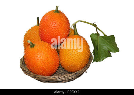 Gac Fruit Momordica cochinchinensis Cut-out Stock Photo