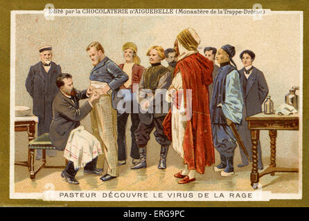 Louis Pasteur discovers the rabies virus. Pasteur's development of rabies vaccine laid the foundations for the manufacture of Stock Photo