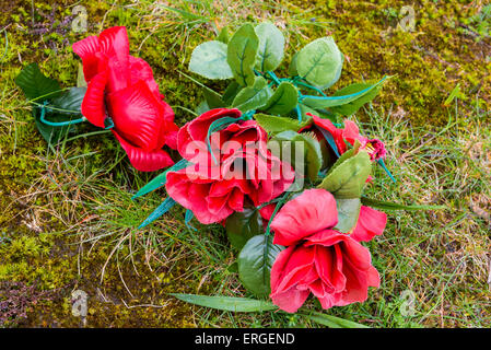 Plastic Artificial Roses on grave in Scotland. Stock Photo