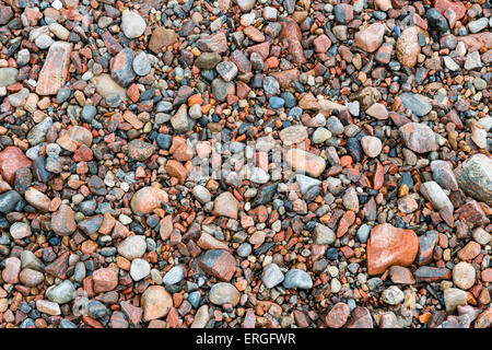 Red pebble on the beach of Scotland Stock Photo