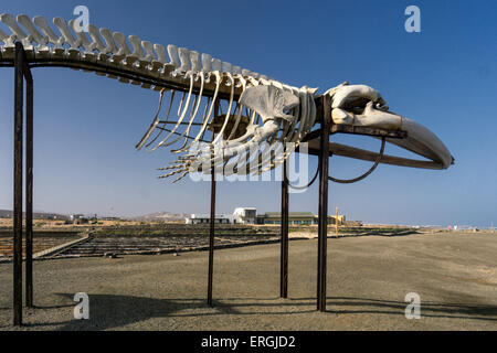 Whale Sceleton, background Saline in Caleta de Fuste, Fuerteventura Spain Stock Photo