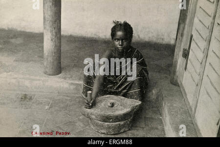 Indian girl grinding paddy rice. Photograph from early 20th century. Stock Photo