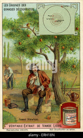 Sir Isaac Newton  and the theory of gravity - sitting next to an apple tree with falling apples.   English physicist, Stock Photo