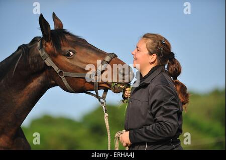 woman with Hessian warmblood Stock Photo