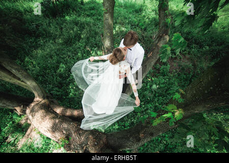 Bride and groom on the tree Stock Photo