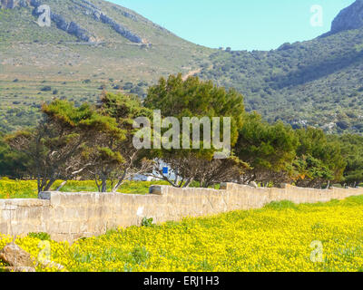 Sicily spring meadow landscape with flowers, Sicily Island, Italy Stock ...