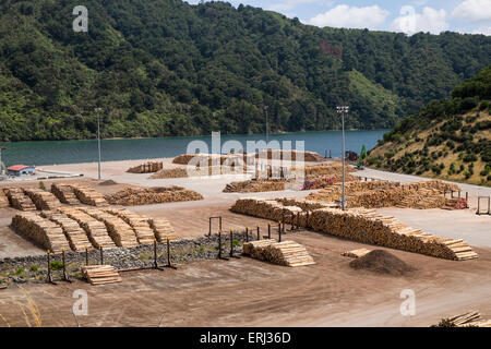 Waimahara Wharf in Shakespeares Bay, Picton, with logs on the quayside awaiting transport to their destination. New Zealand. Stock Photo