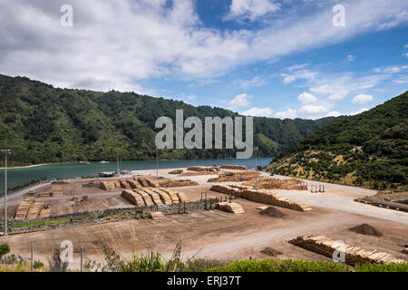 Waimahara Wharf in Shakespeares Bay, Picton, with logs on the quayside awaiting transport to their destination. New Zealand. Stock Photo