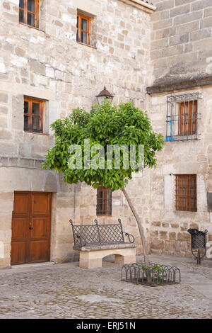 Orange Tree in Juan de Valencia Square, Ubeda, Andalusia, Spain Stock Photo
