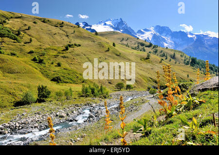 Last summerdays of the Alps at valley Valfroide, near La Grave at the foot of La Meije, French Alps, France Stock Photo