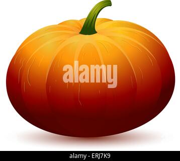Realistic Halloween Pumpkin isolated on white background. Vector eps10. Stock Vector
