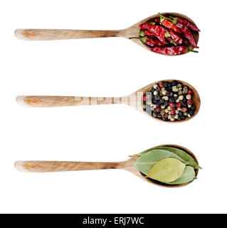 Different kinds of seasoning in the spoons Stock Photo