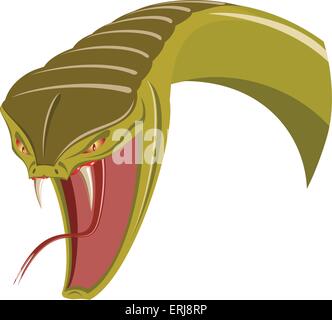 Head of snake - isolated on white Stock Vector