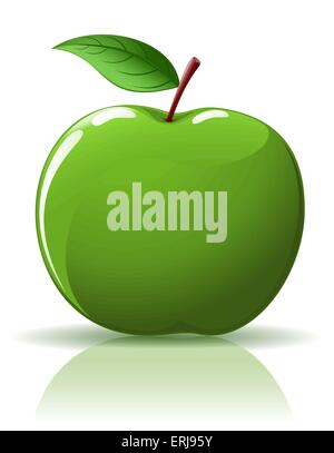 Beautiful green apple isolated on white Stock Vector