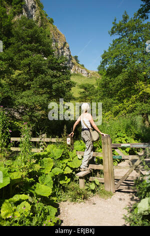 UK, England, Derbyshire, Dovedale, senior female walker crossing stile on path beside River Dove Stock Photo