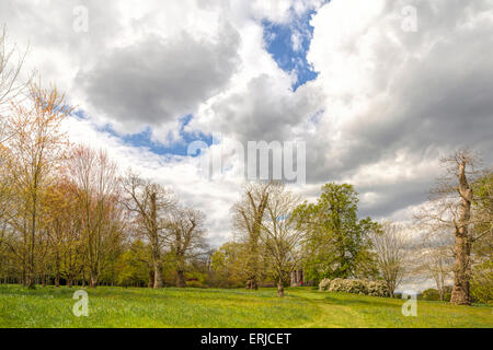 Lush foliage in spring at Petworth House and Pleasure Grounds, landscaped by Capability Brown in West Sussex, England, UK. Stock Photo